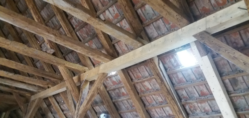 Po dokončení likvidace škůdců objekt uklidíme a zlikvidujeme odpad.